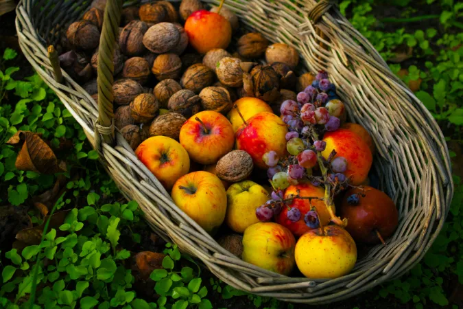 ¿Sabías que decidimos qué frutas comprar por impulso?