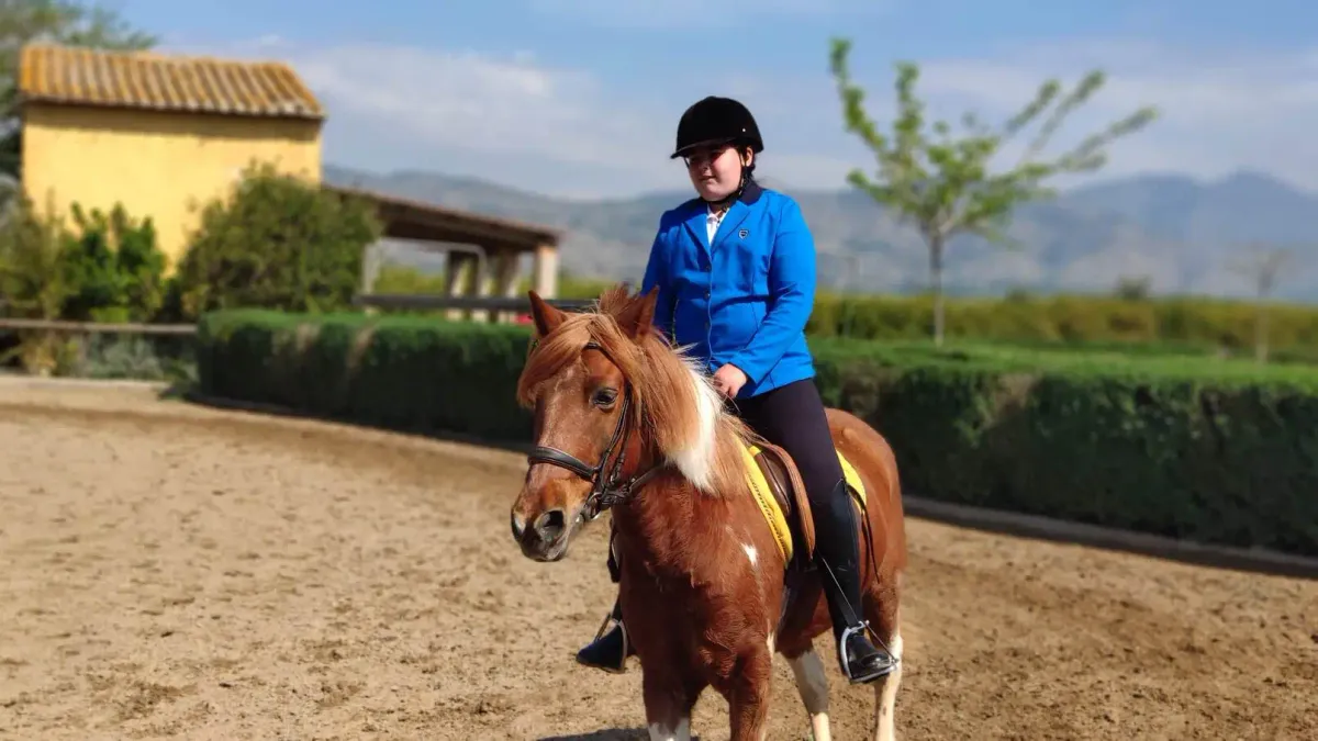 Curso de monitor de equitación