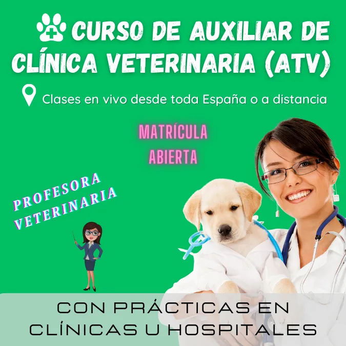 Curso de Auxiliar de Clínica Veterinaria