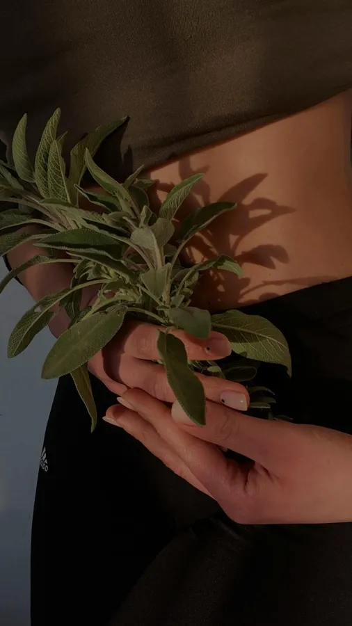 Curso de Herbodietética y Fitoterapia